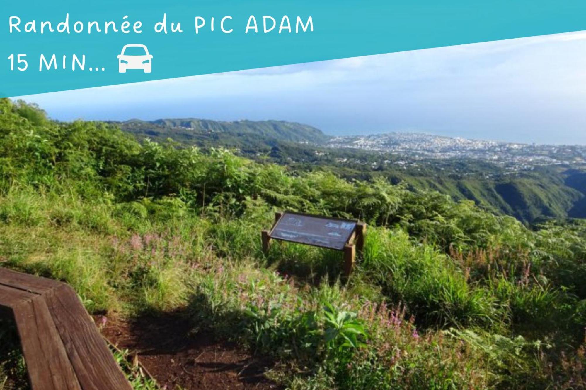 Entree Autonome-Ste Clotilde-Parking Lägenhet Saint-Denis Exteriör bild